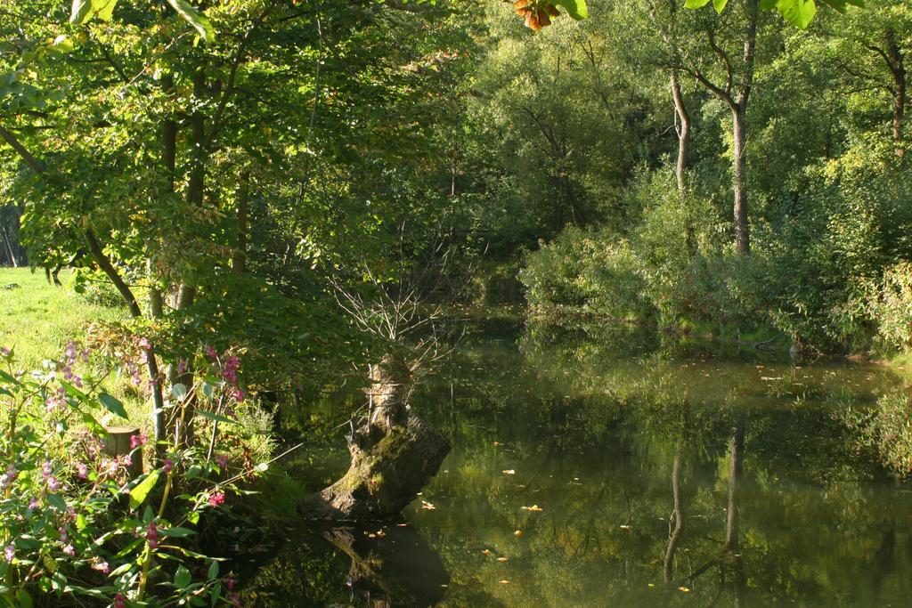 Turisticka Ubytovna Cakle Ústí nad Orlicí Esterno foto